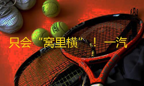 只会“窝里横”! 一汽奥迪销量立异低,奚落上汽保正统?